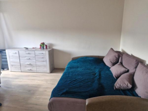 Penthouse apartment Baltupiai